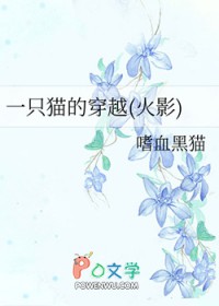 一只猫的穿越