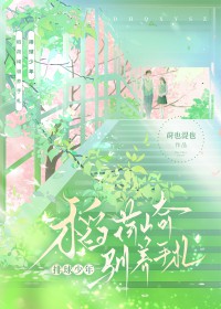 [综漫] 稻荷崎驯养手札