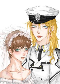 娶回家的灰王子[GB]