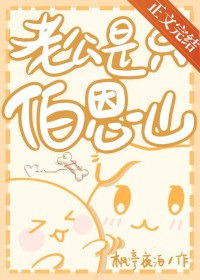 老公是只伯恩山