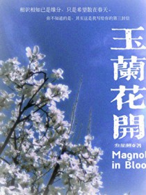 玉兰花开