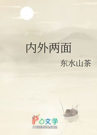 内外两面