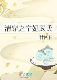 清穿之宁妃武氏