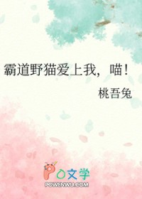 霸道野猫爱上我，喵！