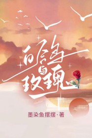 白鸽与玫瑰