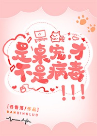 是桌宠，才不是病毒