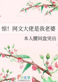 惊！网文大佬是我老婆