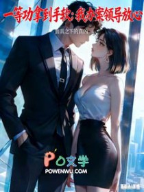 一等功拿到手软：我办案领导放心/破案：我的厅长岳父